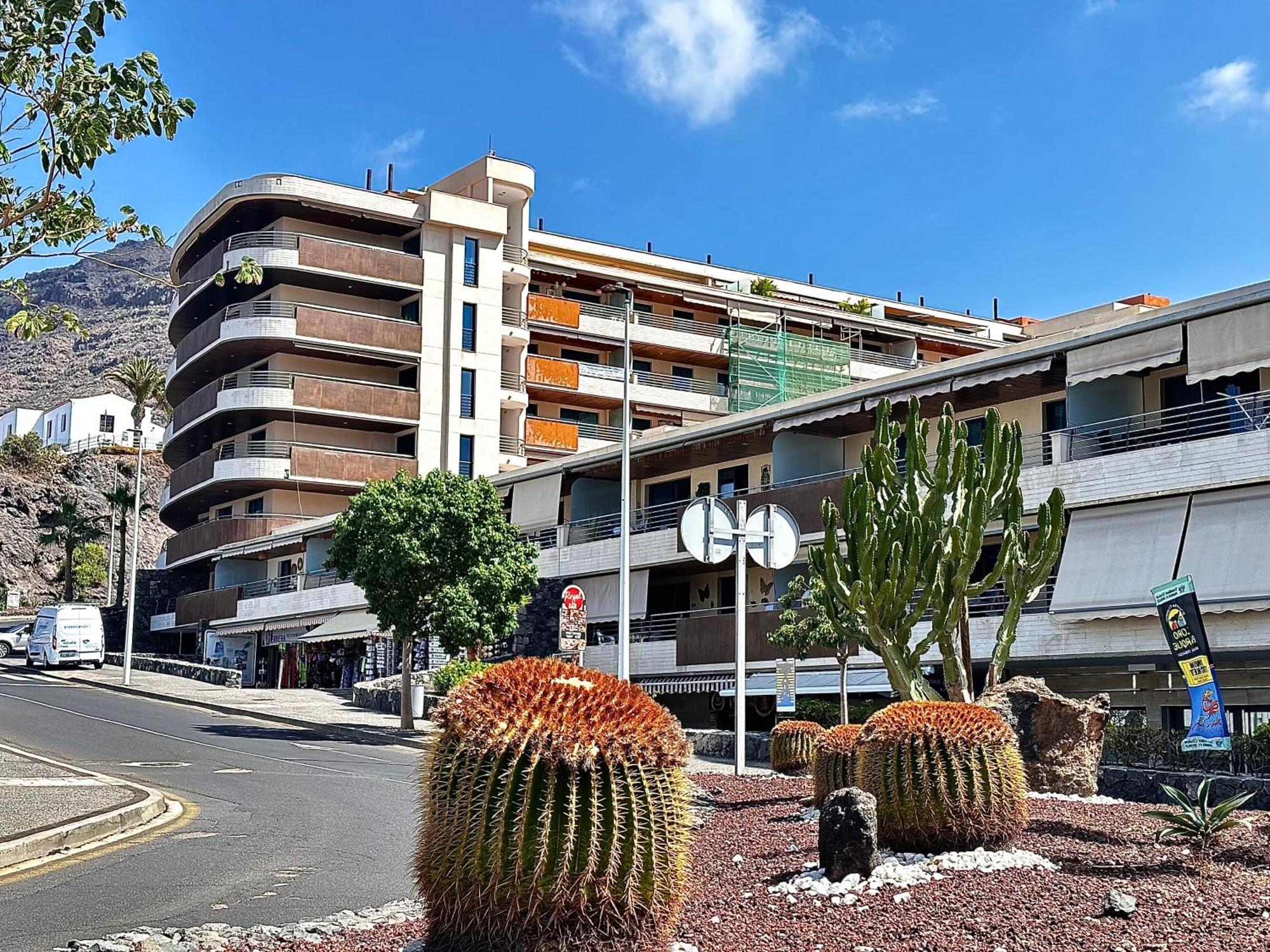 Blue Horizon Apartment Puerto de Santiago (Tenerife)